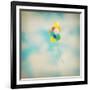 Balloon Dream-Amy Melious-Framed Art Print