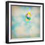 Balloon Dream-Amy Melious-Framed Art Print