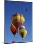 Balloon Fiesta, Albuquerque, New Mexico, U.S.A-null-Mounted Photographic Print