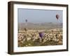 Balloon Flight over Volcanic Tufa Rock Formations around Goreme, Cappadocia, Anatolia, Turkey-Gavin Hellier-Framed Photographic Print