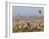 Balloon Flight over Volcanic Tufa Rock Formations around Goreme, Cappadocia, Anatolia, Turkey-Gavin Hellier-Framed Photographic Print