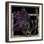 Balloon Flower-Mindy Sommers-Framed Giclee Print