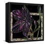 Balloon Flower-Mindy Sommers-Framed Stretched Canvas