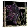 Balloon Flower-Mindy Sommers-Stretched Canvas