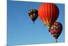Balloon Group-ChrisDoDutch-Mounted Photographic Print