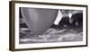 Balloon Launch BW-Steve Gadomski-Framed Photographic Print