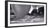 Balloon Launch BW-Steve Gadomski-Framed Photographic Print