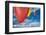 Balloon Launch-Steve Gadomski-Framed Photographic Print