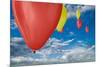 Balloon Launch-Steve Gadomski-Mounted Photographic Print
