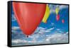 Balloon Launch-Steve Gadomski-Framed Stretched Canvas