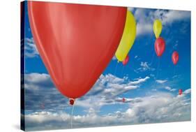 Balloon Launch-Steve Gadomski-Stretched Canvas