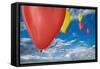 Balloon Launch-Steve Gadomski-Framed Stretched Canvas