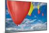 Balloon Launch-Steve Gadomski-Mounted Photographic Print