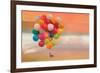 Balloon Ride-Nancy Tillman-Framed Art Print