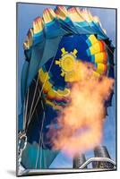 Balloon Rising-Steve Gadomski-Mounted Photographic Print