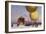 Ballooning at the Berliner Verein Fur Luftfahrt-Philipp Braumuller-Framed Giclee Print