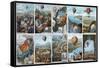 Ballooning History from 1783 to 1883-Science Source-Framed Stretched Canvas