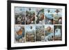 Ballooning History from 1783 to 1883-Science Source-Framed Giclee Print