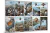 Ballooning History from 1783 to 1883-Science Source-Mounted Giclee Print