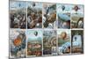 Ballooning History from 1783 to 1883-Science Source-Mounted Giclee Print