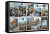 Ballooning History from 1783 to 1883-Science Source-Framed Stretched Canvas