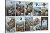 Ballooning History from 1783 to 1883-Science Source-Stretched Canvas