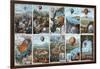 Ballooning History from 1783 to 1883-Science Source-Framed Giclee Print