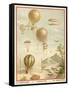 Ballooning-null-Framed Stretched Canvas