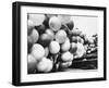 Balloons Lying on Ground Prior to Release-Ralph Crane-Framed Photographic Print