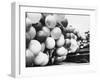 Balloons Lying on Ground Prior to Release-Ralph Crane-Framed Photographic Print