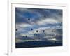 Balloons Soaring About Sandia Mountains During Albuquerque Balloon Fiesta-James Shive-Framed Photographic Print