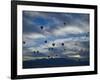 Balloons Soaring About Sandia Mountains During Albuquerque Balloon Fiesta-James Shive-Framed Photographic Print