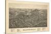 Ballston Spa 1890 Bird's Eye View-null-Stretched Canvas