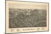 Ballston Spa 1890 Bird's Eye View-null-Mounted Giclee Print