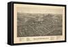 Ballston Spa 1890 Bird's Eye View-null-Framed Stretched Canvas