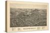 Ballston Spa 1890 Bird's Eye View-null-Stretched Canvas