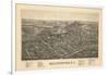 Ballston Spa 1890 Bird's Eye View-null-Framed Giclee Print