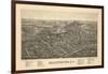 Ballston Spa 1890 Bird's Eye View-null-Framed Giclee Print