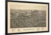 Ballston Spa 1890 Bird's Eye View-null-Framed Giclee Print