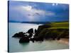 Ballydowane Beach, Copper Coast, County Waterford, Ireland-null-Stretched Canvas