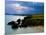 Ballydowane Beach, Copper Coast, County Waterford, Ireland-null-Mounted Photographic Print