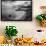 Ballydowane Beach, Copper Coast, County Waterford, Ireland-null-Framed Photographic Print displayed on a wall