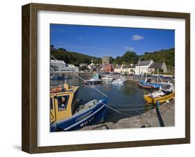 Ballyhack Fishing Village, County Wexford, Leinster, Republic of Ireland, Europe-Richard Cummins-Framed Photographic Print