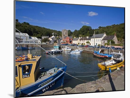 Ballyhack Fishing Village, County Wexford, Leinster, Republic of Ireland, Europe-Richard Cummins-Mounted Photographic Print