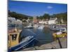 Ballyhack Fishing Village, County Wexford, Leinster, Republic of Ireland, Europe-Richard Cummins-Mounted Photographic Print