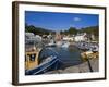 Ballyhack Fishing Village, County Wexford, Leinster, Republic of Ireland, Europe-Richard Cummins-Framed Photographic Print