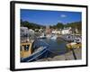 Ballyhack Fishing Village, County Wexford, Leinster, Republic of Ireland, Europe-Richard Cummins-Framed Photographic Print