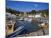 Ballyhack Fishing Village, County Wexford, Leinster, Republic of Ireland, Europe-Richard Cummins-Mounted Photographic Print