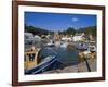 Ballyhack Fishing Village, County Wexford, Leinster, Republic of Ireland, Europe-Richard Cummins-Framed Photographic Print