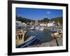 Ballyhack Fishing Village, County Wexford, Leinster, Republic of Ireland, Europe-Richard Cummins-Framed Photographic Print